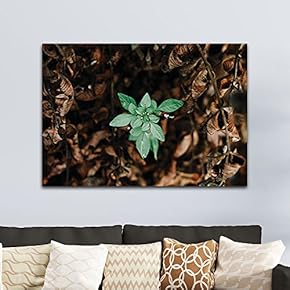 Leaves in a Forest