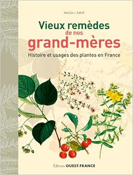 Amazon Fr Vieux Remedes De Nos Grand Meres Amir Magali Livres