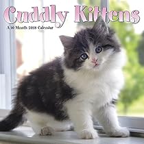 Cuddly Kittens 2018 Mini Calendar Cuddly Kittens 2018 Mini Calendar