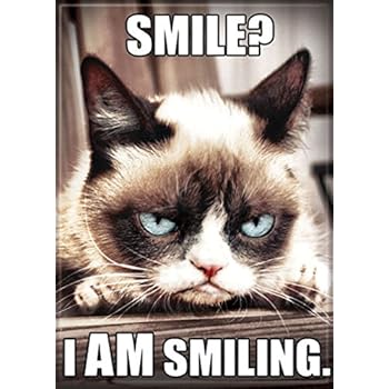 Ata-Boy Grumpy Cat 'Smile? I AM Smiling' 2.5