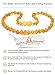 Premium Amber Teething Necklace / Extra Safe / 50% Richer and Higher in Value / Sizes from 11.6 IN to 14.7 IN/ Reduces Teething Symptoms Naturally /HNY.U-BRQ / 31.5CM / 12.4IN