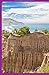 Lonely Planet New Zealand's South Island Road Trips 1 (Road Trips Guide)