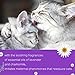 BINGPET Calming Collar for Cats - Adjustable Reduce Anxiety Collar for Small Dogs & Cats, Natural Calm Collar up to 15\