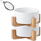 Petygooing White Ceramic Cat Dog Bowl Set with Stand,Small Dog Bowls,Pet Food and Water Dish, Anti Slip Set of 2 Cat Bowls Pet Food Bowl- Pet Dish Small Size Pet (13.5OZ/5.1 in)