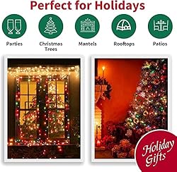 LAMPHOME Christmas String Light,100 Count