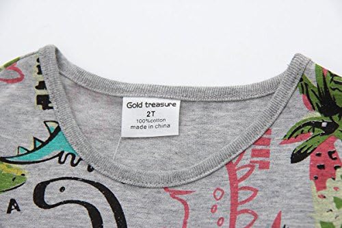 Gold treasure Baby Girls Summer Playwear Dresses One-Piece Dress With Cartoon Dinosaurs