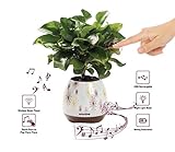 Envolve Music Flower Pot, Wireless Bluetooth Speaker, LED Light Smart Touch Music Flower Pot, Multicolor Night Light, Play Piano Music on a Real Plant with Colorful LED Lights (Plant not Included)