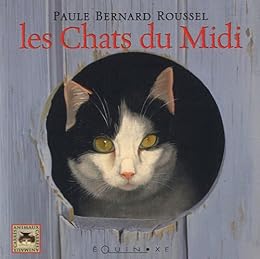 Les  chats du Midi
