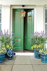 THE ONE All-In-One Paint & Primer Green Matt 1 L Multi-Surface One Coat view 8
