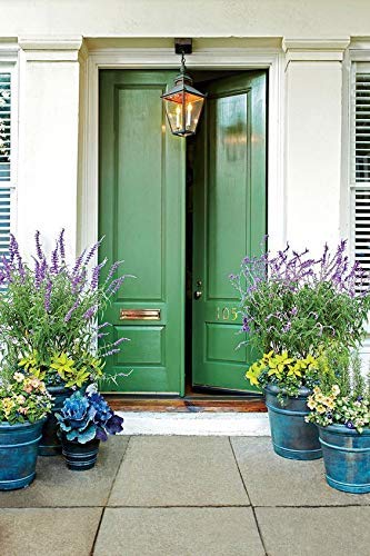 THE ONE ALL-IN-ONE PAINT & PRIMER: DURABLE FURNITURE, CABINET, FRONT DOOR, WALL, BATHROOM, KITCHEN – FAST DRYING INTERIOR & EXTERIOR CRAFT PAINT (GREEN, GLOSS, 8.5OZ)