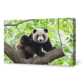 Canvas Wall Art for Living Room,Bedroom Home Artwork Paintings Cute Panda Ready to Hang - 12x18 inches