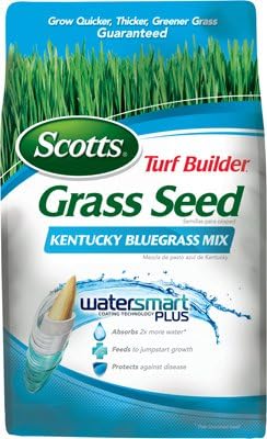 Turf Builder Kentucky Bluegrass Mix