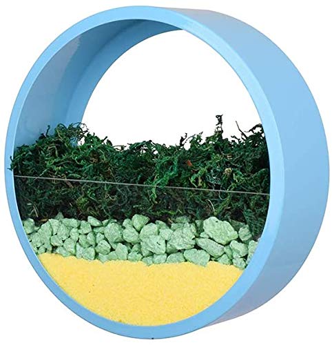 Ecosides Wall Vase, Metal Round Wall Planter Wall Mounted Hanging Flower Pot Plant Holder,Modern Wall Decor Art for Balcony Garden, Planting Air Plant,Dried Flower,Succulent,Blue,20cm