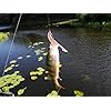 JOHNCOO-Soft-Bait-Shad-Fishing-Lure-Mixed-Color-Pack-of-50 JOHNCOO-Soft-Bait-Shad-Fishing-Lure-Mixed-Color-Pack-of-50