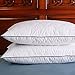 DOWNIGHT Set of 2, Down and Feather Pillow Double Layered Fabric Bed Pillow, 100% Cotton Fabric, Standard/Queen