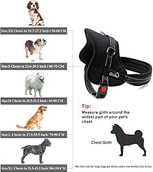 lifepul easy harness