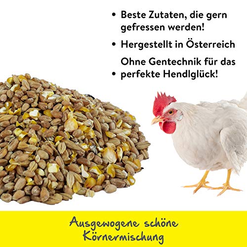 Emmas Hühnerfutter 20kg Hendlglück | Körnermischung für Legehennen | ohne Gentechnik | hergestellt in Ãsterreich | ausgewogenes Ergänzungsfutter für eine artgerechte Haltung und Ernährung – Bild 3