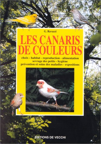 Les  canaris de couleurs