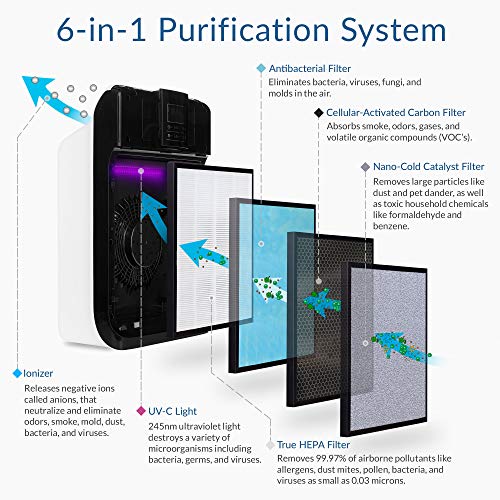 2 Hathaspace+Purifier+Cleaner+Deodorizer+Allergies