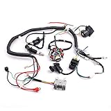 CISNO Complete Electrics Wiring Harness Wire Loom Magneto Stator for GY6 4-Stroke Engine Type 125CC 150CC Pit Bike Scooter ATV Quad