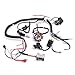 CISNO Complete Electrics Wiring Harness Wire Loom Magneto Stator for GY6 4-Stroke Engine Type 125CC 150CC Pit Bike Scooter ATV Quad