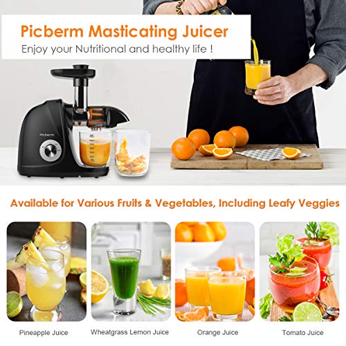 Juicer Machines, Picberm Slow Masticating Juicer Extractor with Quiet Motor Easy to Clean, BPA-Free Cold Press Anti-Blocking Juicer with Peeler, Brush & Recipes for Fruits and Vegetables, Black