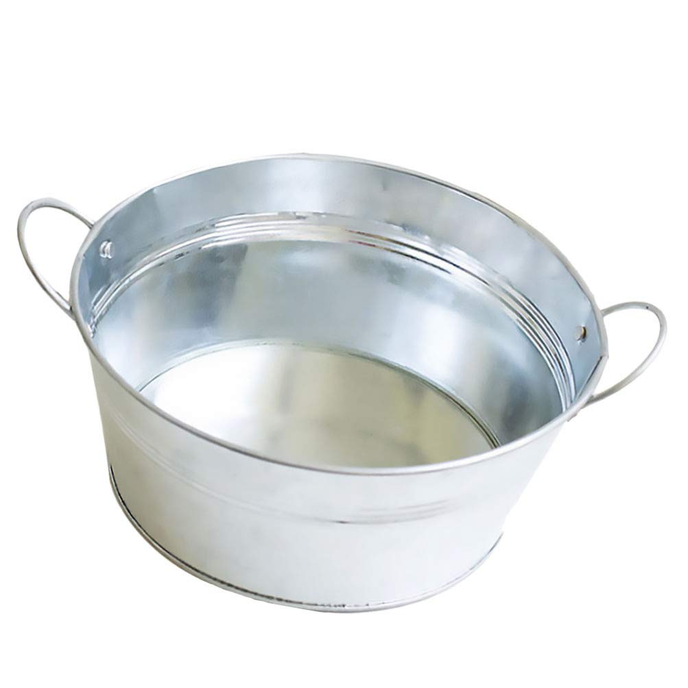 BESPORTBLE Vintage Flower Bucket Pail Metal Flower Vase Plant Planter Antique Flower Pot Rustic Wedding Decoration (Silver)