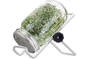 Mason Jars Sprouting Jar Kit Germination Seed Sprouter Set with Lid Stand for Growing Broccoli Alfalfa Bean Sprouts 500ml Mas