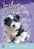 Les chiots magiques, Tome 13 : Une victoire bien méritée by 