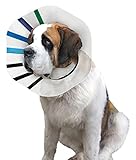 KONG EZ Clear Collar for Dogs and Cats, Small, Clear