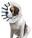 KONG EZ Clear Collar for Dogs and Cats, Small, Clear