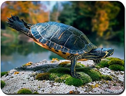 Turtle landing from a high jump Animal - #44727 - Mouse Pad Customized Rectangle Non-Slip Rubber Mousepad Gaming Mouse Pad 8.6x7.1 Inches