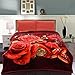 JML Heavy Warm Blanket, Plush Blankets King Size 85