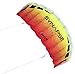 Prism Synapse Dual-line Parafoil Kite