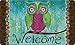 Toland Home Garden 800004 Rainbow Owl Welcome Door Mat 18x30 Inch Bird Outdoor Doormat for Entryway Indoor Entrance
