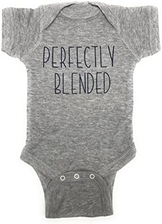 Lavender Rain Designs Perfectly Blended Ultra Soft Short-Sleeved Baby Bodysuit Newborn-24 Months (6 Months, Grey Heather/Navy)