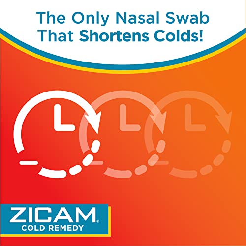 Zicam Cold Remedy NoDrip Nasal Spray with Cooling Menthol & Eucalyptus