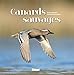 Canards sauvages (Beaux livres Nature) (French Edition) by 