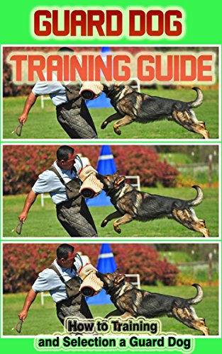 Guard Dog Training Guide: How to Training and Selection a Guard Dog