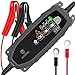 AUTOXEL Car Battery Charger Battery Maintainer 12V 6V 3.8A 8 Modes Charger Maintainer for Vehicles with CC/CV Control for LiFePO4 & Lead Acid Battery of Wet, MF, VRLA, AGM & GEL