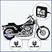 Biker's Camera, Sykik Rider SYBC6 Motorcycle Action Camera, Sport camera with DVR. With Front camera and back camera, 2” LCD monitor with Picture in picture