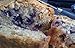 Homemade Blueberry Zucchini Bread *(Buy One Get One)* party gift, gourmet bread, gift idea, gift for Mom