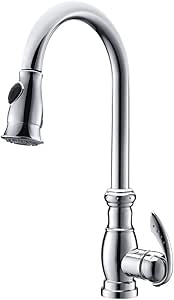 Tradicional Cuello de Ganso one-hole extraíble spray fregadero de