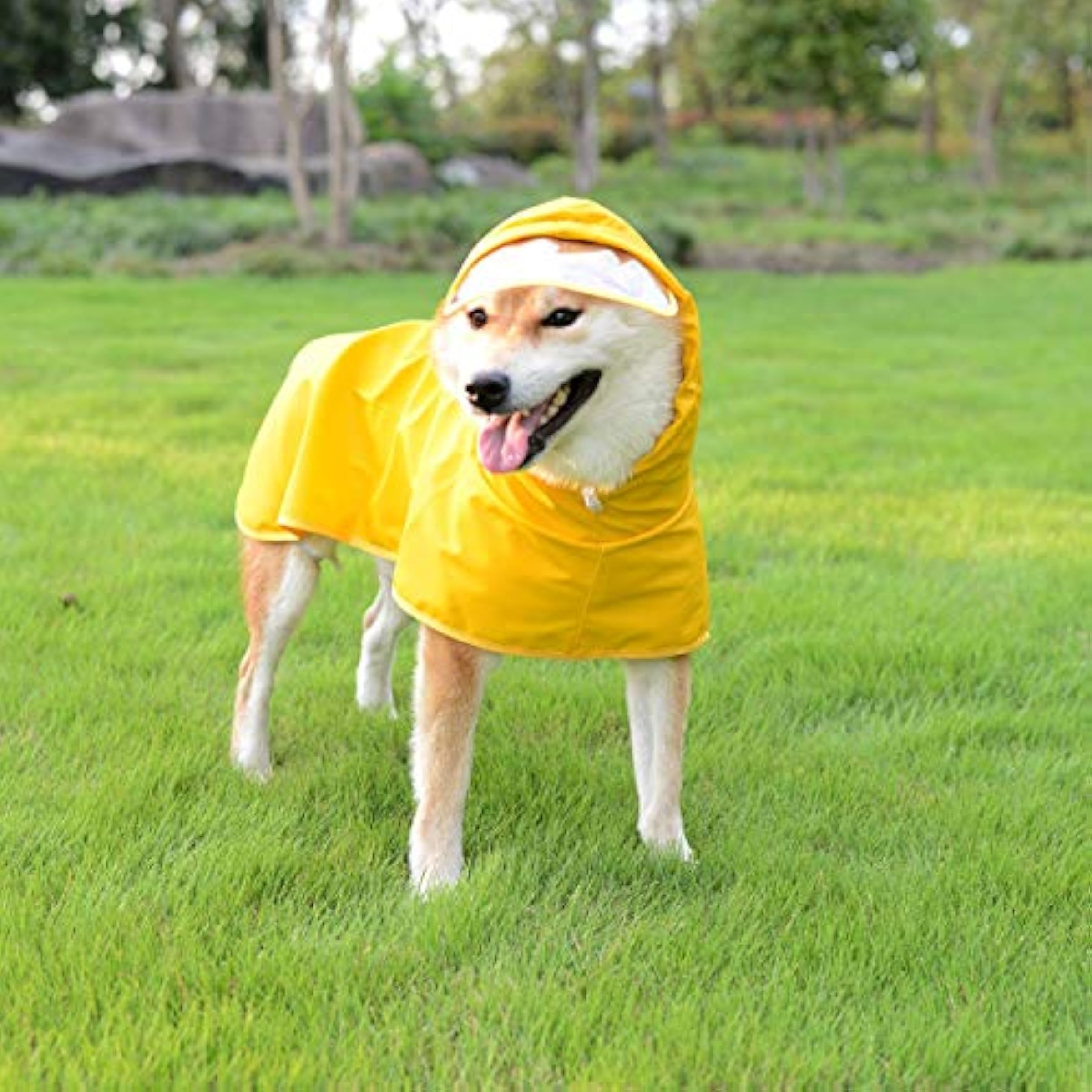 Yellow Dog Raincoat Puppy Waterproof Jacket With Hood & Leash Hole Transparent