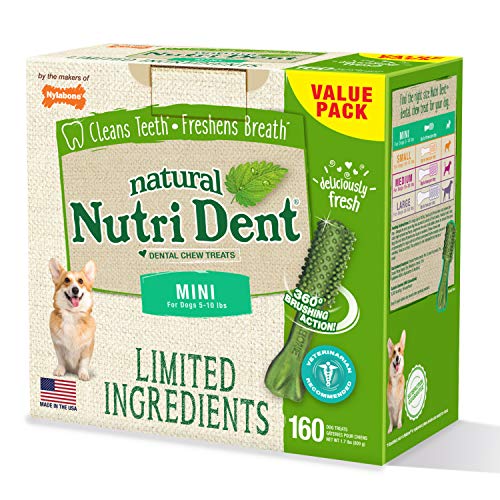 nylabone nutri dent mini