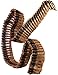 Bullet Belt