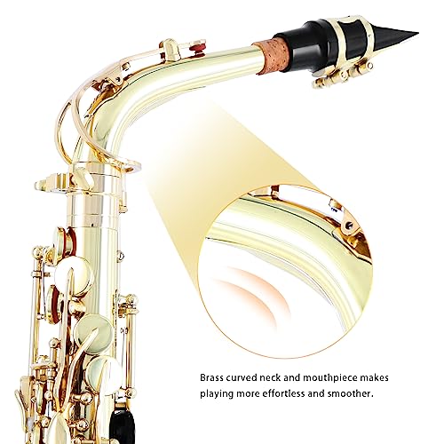 EASTROCK Alto Saxophone Gold E Flat Sax Full Kit for Students Beginner