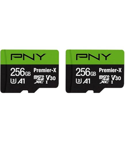 Amazon.com: SanDisk 256GB (2 Pack) Extreme microSDXC 190MB/s