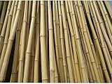 FlickBuyz 4FT Bamboo Plant Support Canes 30 Pack, 8-10MM Thick view 4