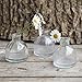 CHIVE ‘Loft’ Glass Bud Vases for Flowers — Set of 10 Clear Round Bottles — Super Cute Wedding Decor Centerpieces — Premium Quality & Made to Last